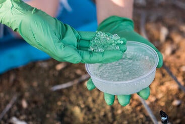 Hydrogel beads